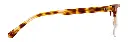 Sam_Habana_03.webp